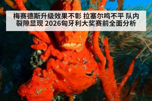 梅赛德斯升级效果不彰 拉塞尔鸣不平 队内裂隙显现 2026匈牙利大奖赛前全面分析