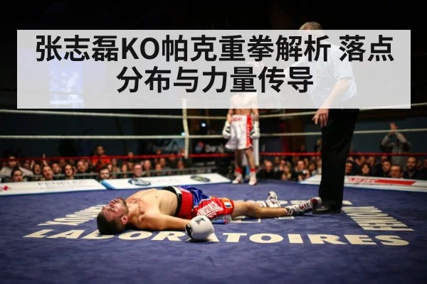 张志磊KO帕克重拳解析 落点分布与力量传导